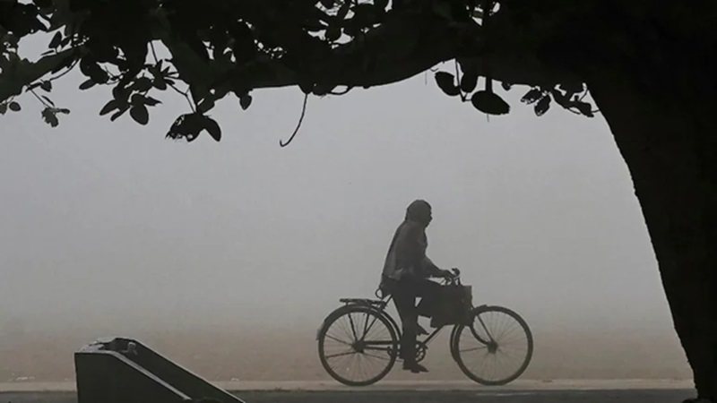Rajasthan Weather: पश्चिमी विक्षोभ के थमते ही राजस्थान में फिर बढ़ी ठंड, बाड़मेर में गर्मी तो फतेहपुर में सर्दी का जोर