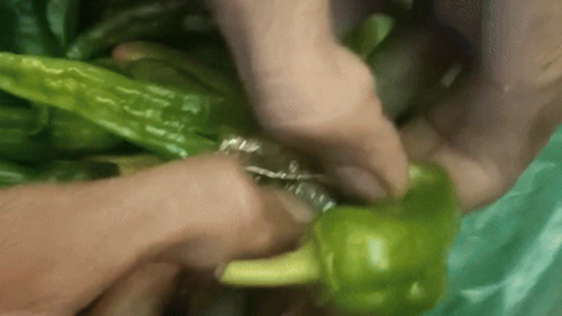 Rajasthan New: हरी मिर्च में भरकर भेज रहे थे ड्रग्स, तस्करी का नया तरीका देख नारकोटिक्स भी हैरान