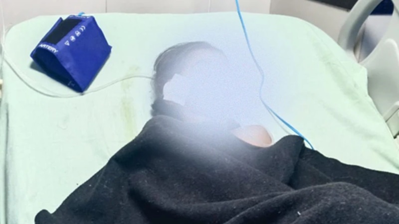 Rajasthan News: आवारा कुत्तों का आतंक जारी, चौथी क्लास की छात्रा गंभीर रूप से घायल