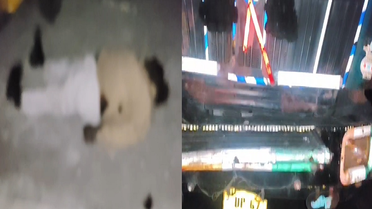 रोहतास में भीषण सड़क हादसा, तेज रफ्तार ट्रक ने ऑटो को मारी टक्कर, महिला समेत 3 लोगों की मौत, 6 लोग गंभीर रूप से घायल