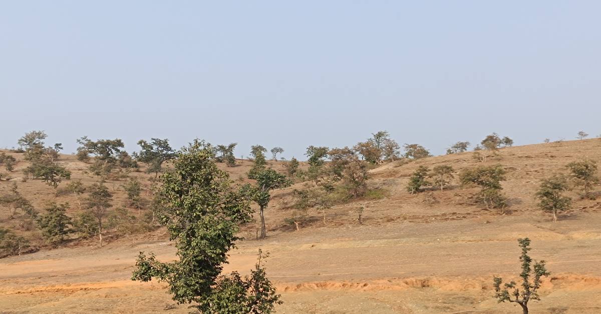 सिंगरौली में सोने की खदान: चितरंगी को मिलेगी नई पहचान, नए अध्याय की ओर ऊर्जाधानी