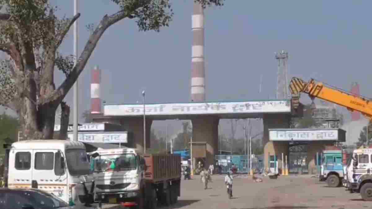 एशिया का सबसे बड़ा थर्मल प्लांट अब हरियाली का दुश्मन? सिंगरौली में पेड़ कटाई से गहराया पर्यावरण संकट, फ्लाई ऐश उड़ने से लोगों का सांस लेना मुश्किल