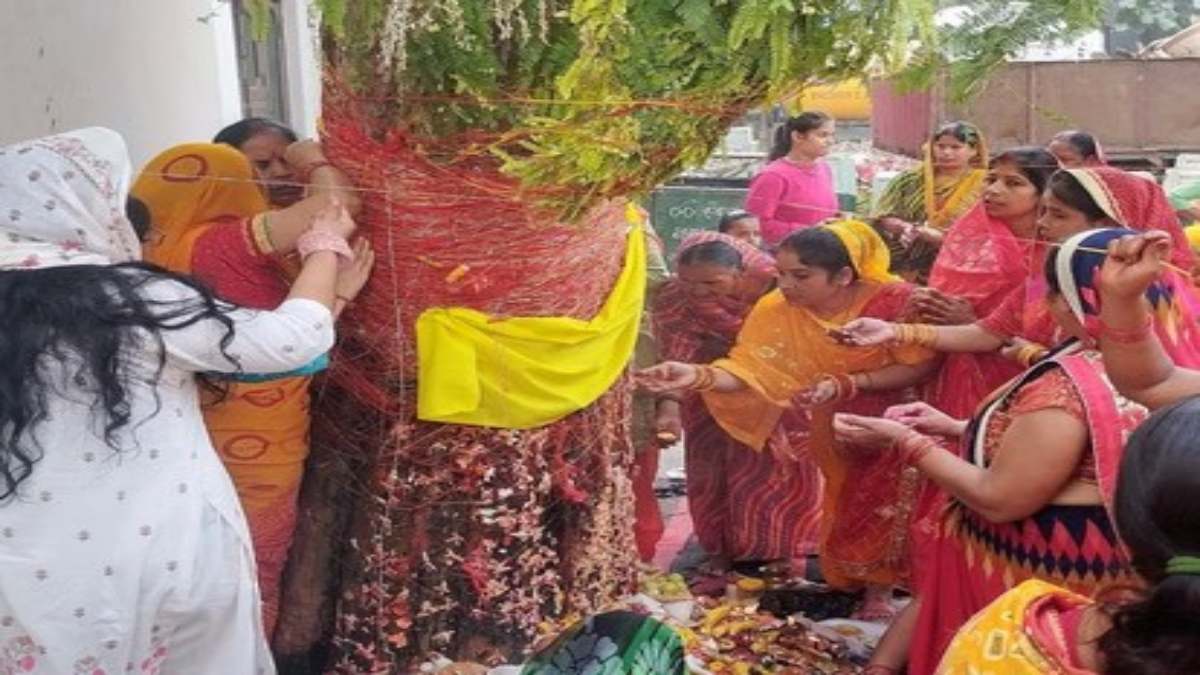 Amalaki Ekadashi 2026 : आज के दिन आंवले के वृक्ष की पूजा का विशेष महत्व, जानिए पद्म पुराण में इसे लेकर क्या है लिखा…