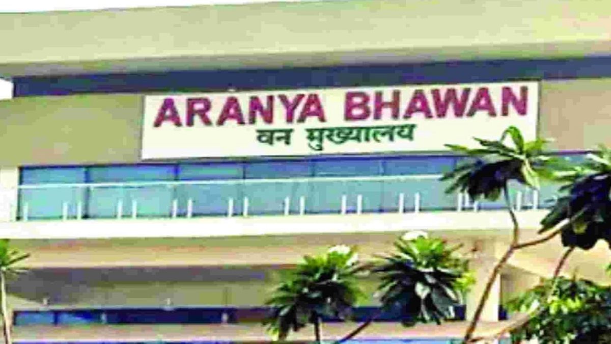 TRANSFER BREAKING : वन विभाग में बड़े पैमाने पर तबादला, जानिए किसे मिली कहां की जिम्मेदारी