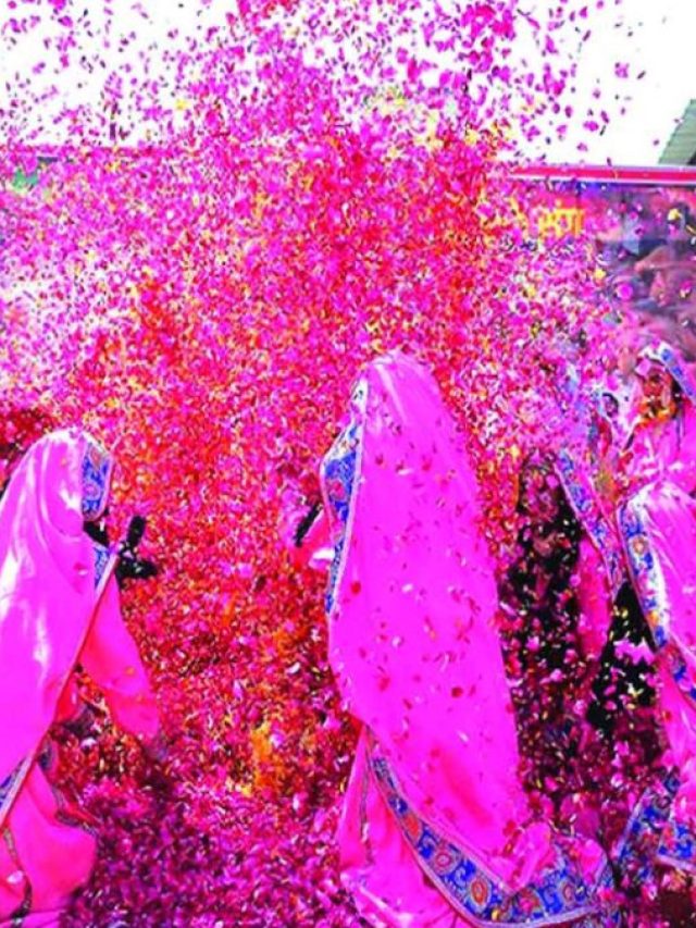 Phulera Dooj 2026: कब है फुलेरा दूज? इस दिन क्यों खेली जाती है फूलों की होली?