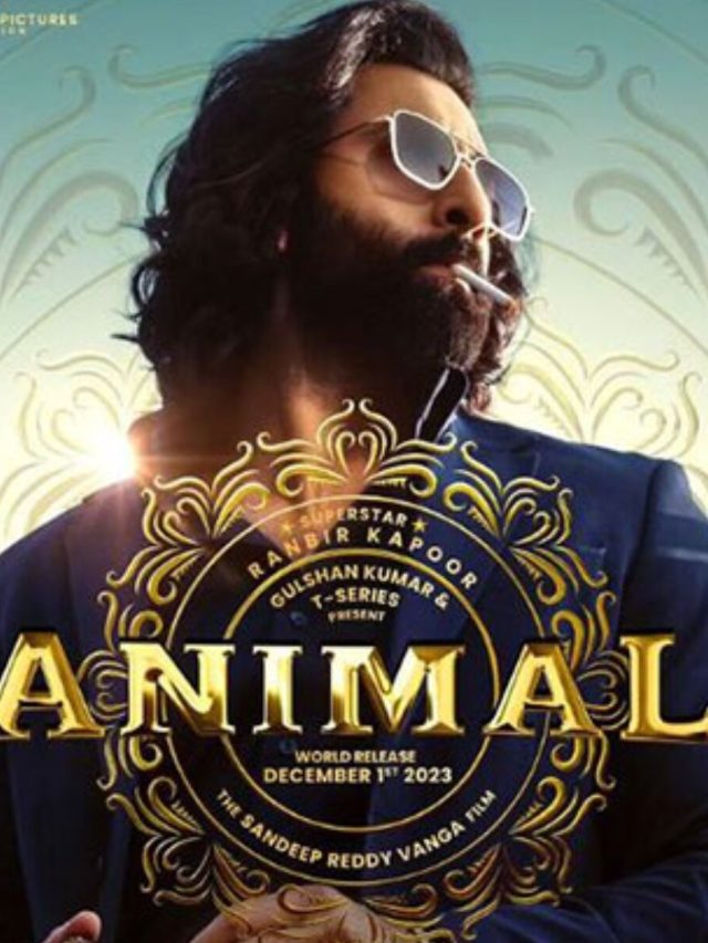 बॉलीवुड की इन 10 फिल्मों ने दुनियाभर में ढाया कहर, छप्परफाड़ है कलेक्शन