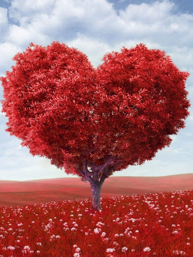 Valentine’s Day Special: वैलेंटाइन डे के इन कोट्स और शायरी से करें विश