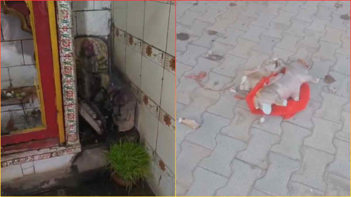 शराबी का आतंक: देवी की मूर्ति तोड़ी, श्रद्धालुओं में आक्रोश