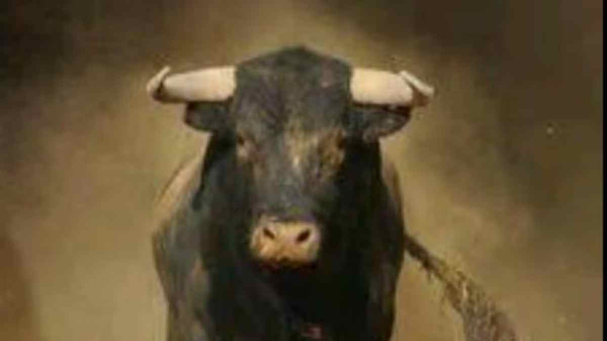 ग्वालियर में आवारा मवेशियों का आतंक: सांड ने 6 साल के मासूम को पटका फिर घसीटा, सिर पर आए 25 टांके