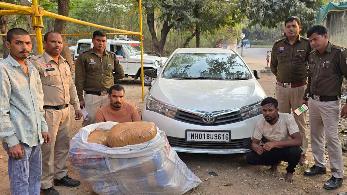 नशे के खिलाफ जंग: 50 किग्रा गांजा के साथ 2 तस्कर गिरफ्तार, पुलिस पूछताछ के जरिए तलाश रही बैकवर्ड-फारवर्ड लिंकेजेस
