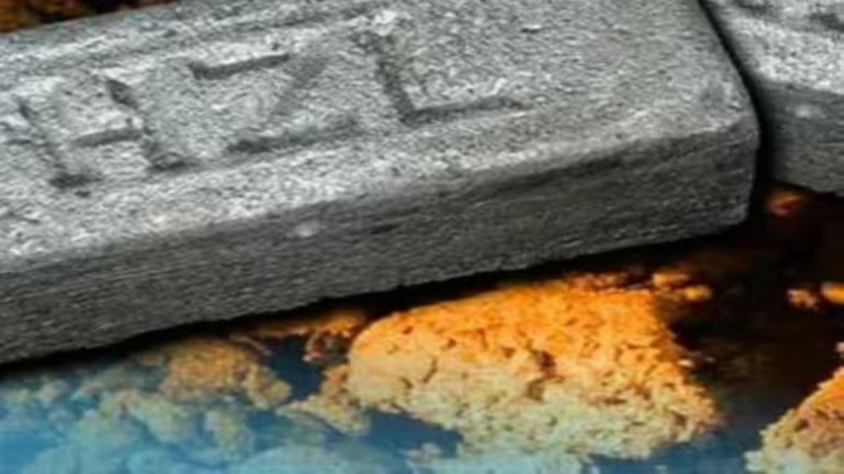 Hindustan Zinc Shares : चांदी पर फिसला शेयर, गिर गए धड़ाधड़ स्टॉक्स, जानिए गिरावट की वजह ?