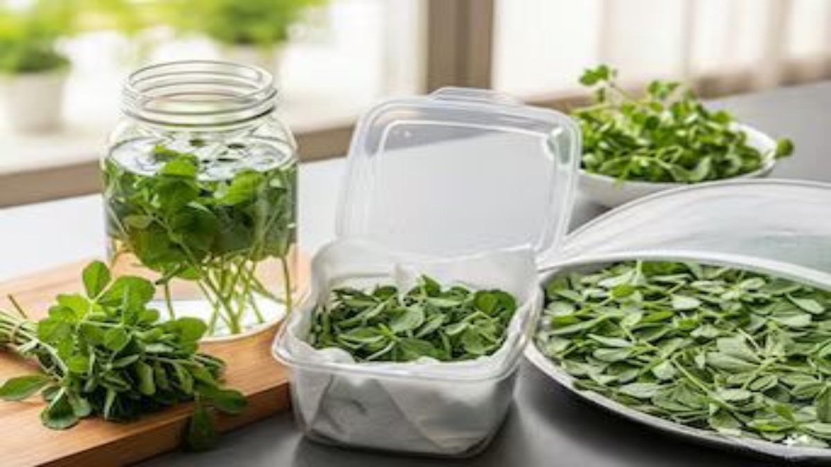 ऐसे कर सकते हैं मेथी भाजी को स्टोर, सालभर लें स्वादिष्ट व्यंजनों का स्वाद …