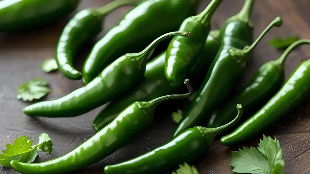 Kitchen Tips : हरी मिर्च को इस तरह से करें स्टोर, महीनों तक नहीं होगी खराब …