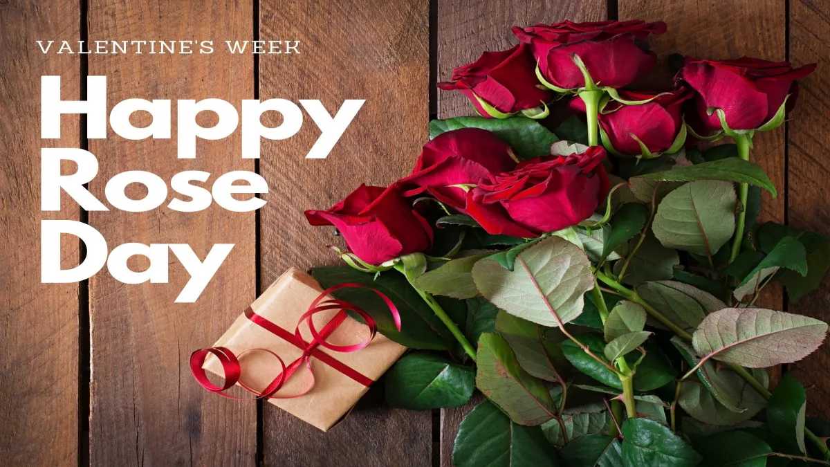 Happy Rose Day 2026 : आज से हो रही है प्यार के खूबसूरत हफ्ते की शुरुआत, अपने पार्टनर को ये फोटोज आप भी कर सकते हैं शेयर …