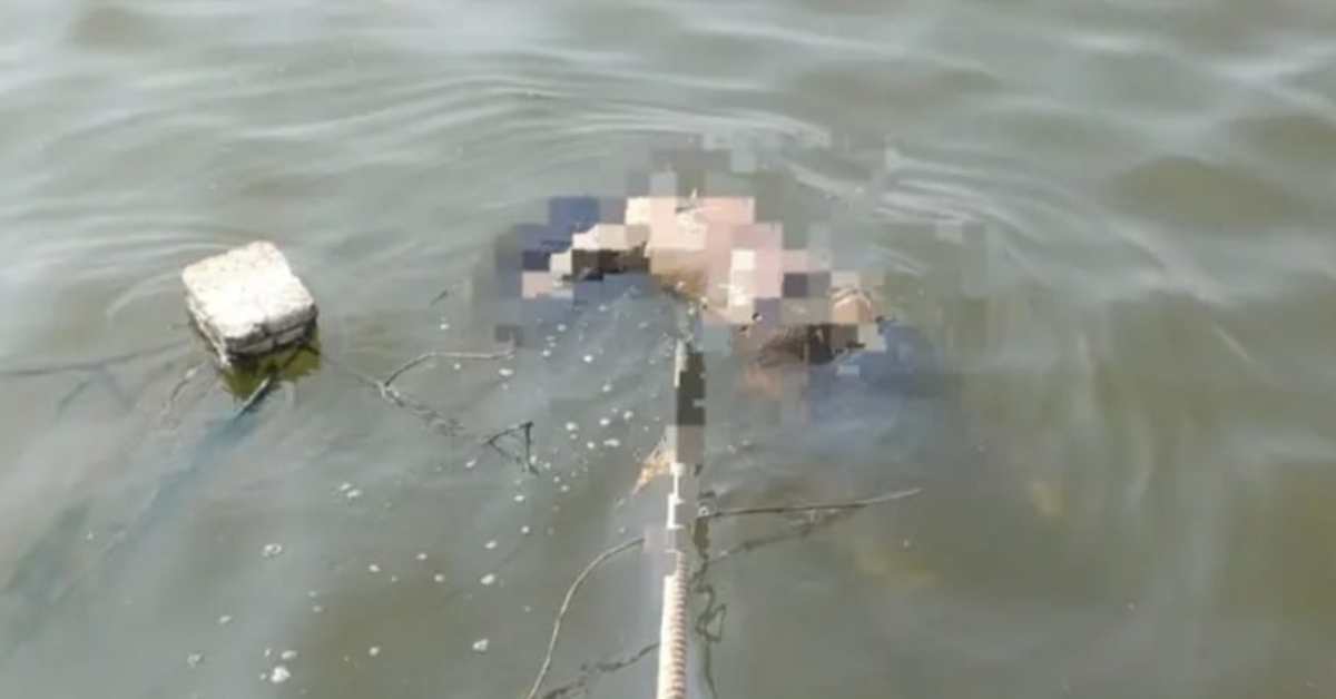 हादसा या फिर हत्या? गंगा नदी में उफनता मिला अज्ञात महिला का शव, मौत की गुत्थी सुलझाने में जुटी खाकी