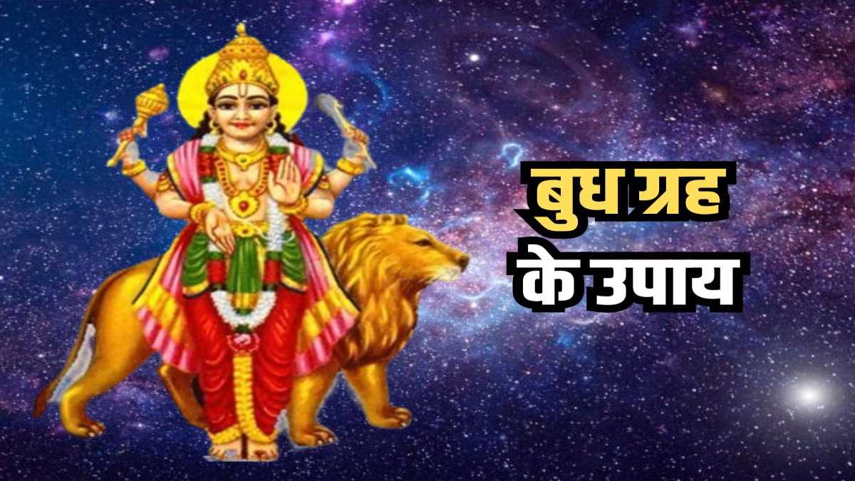 आज गाय को खिलाएं हरा मूंग और हरी घास, बुध की होगी कृपा …