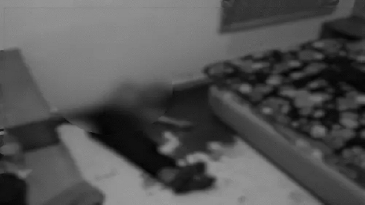 होटल के कमरे में युवती की नृशंस हत्या, आंखों पर बंधी थी पट्टी, साथ आया युवक फरार …