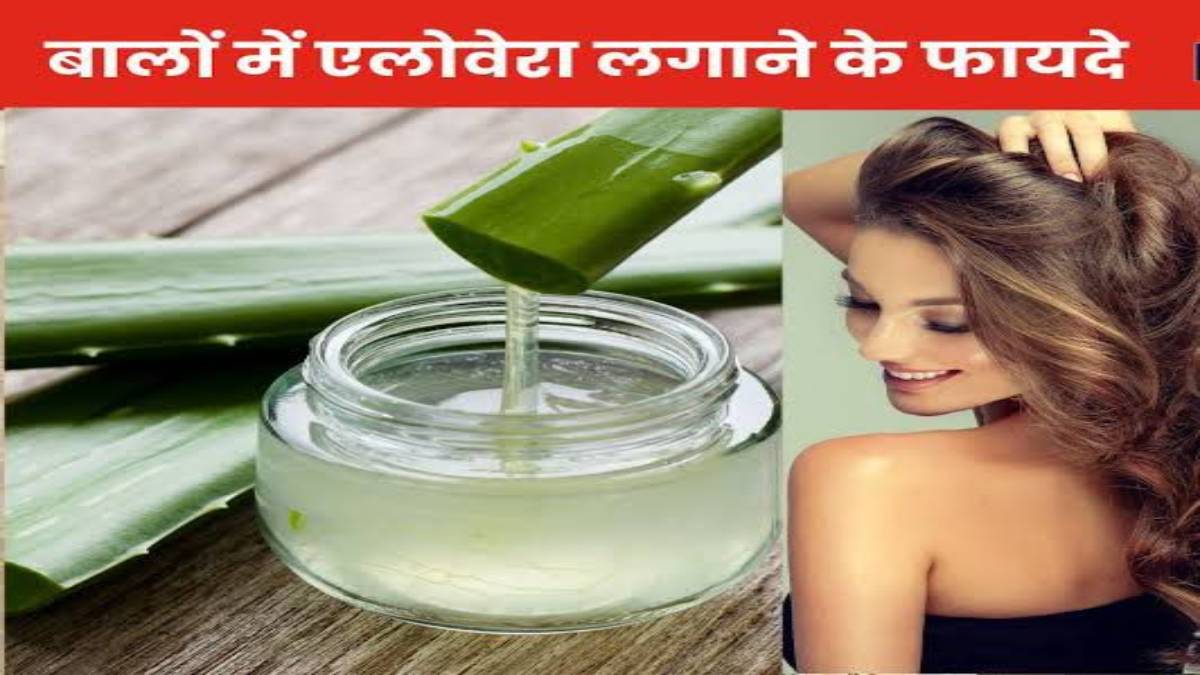 बालों के रूखेपन और फ्रिजीनेस से हैं परेशान, तो एलोवेरा दूर करेगा आपकी ये समस्या …
