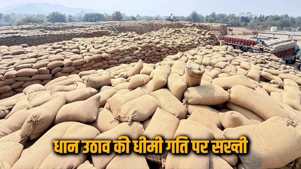 CG News : धान उठाव की धीमी गति पर शासन सख्त, हटाए गए मार्कफेड DMO किशोर चंद्रा