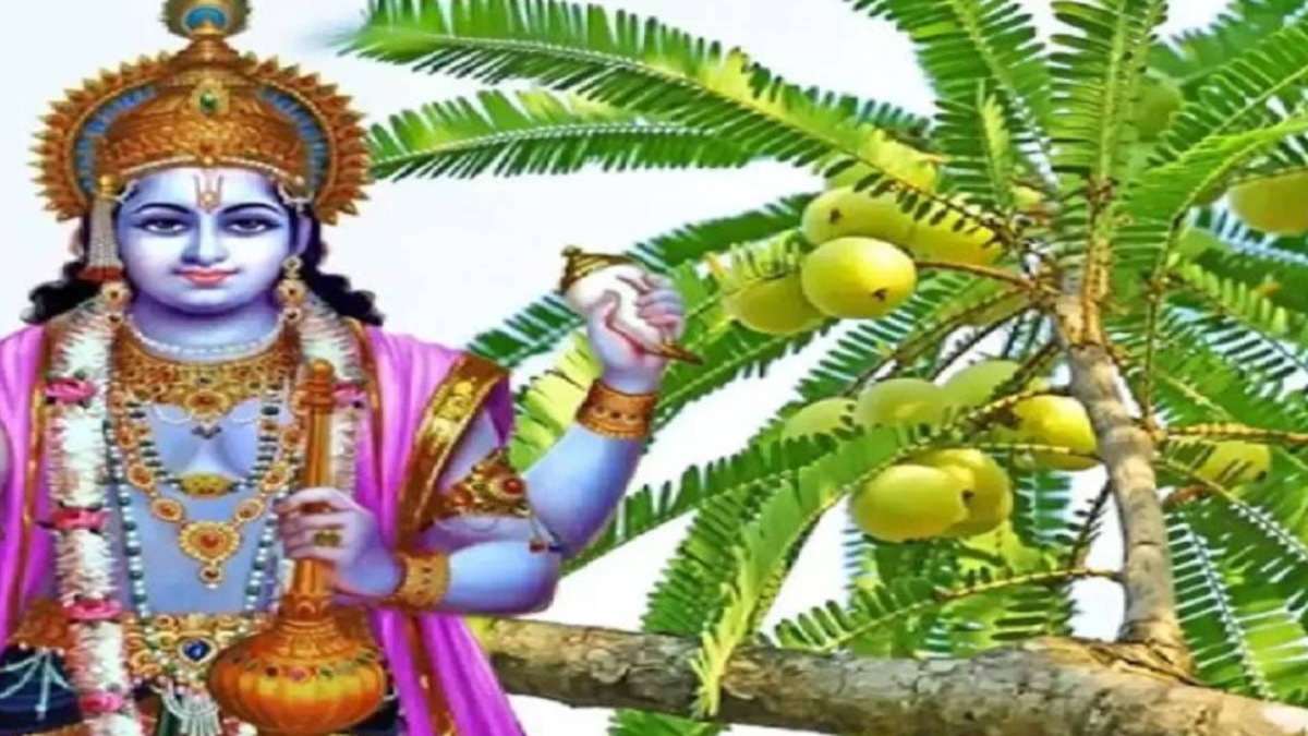 Amalaki Ekadashi : इस तारीख को रखा जाएगा आमलकी एकादशी का व्रत, यह होगा पूजा का सही समय …