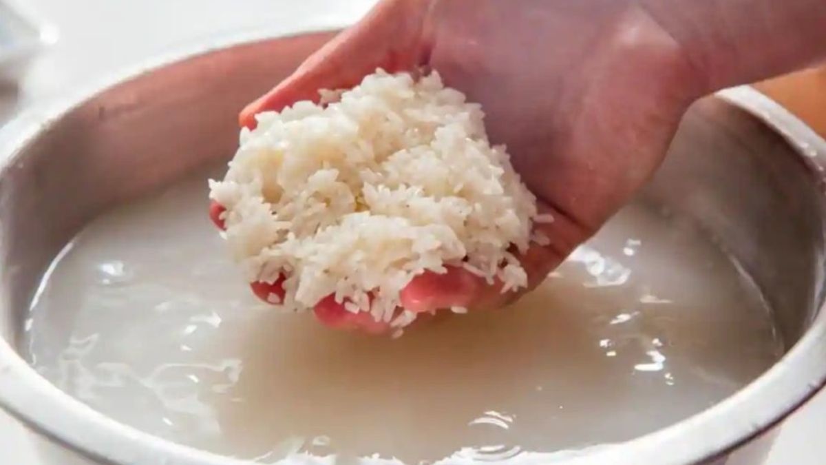 चावल को पकाने से पहले भिगोना है जरूरी, अगर आप भी नहीं करते ऐसा तो जाने ये क्यों है जरूरी …