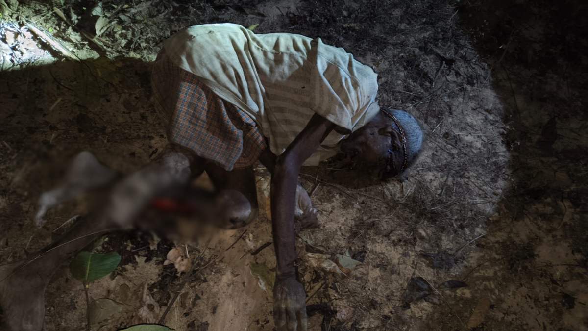 हाथी का आतंक: लकड़ी लेने गए बुजुर्ग को हाथी ने उतारा मौत के घाट, इलाके में 100 से अधिक हाथी मौजूद, दहशत में ग्रामीण