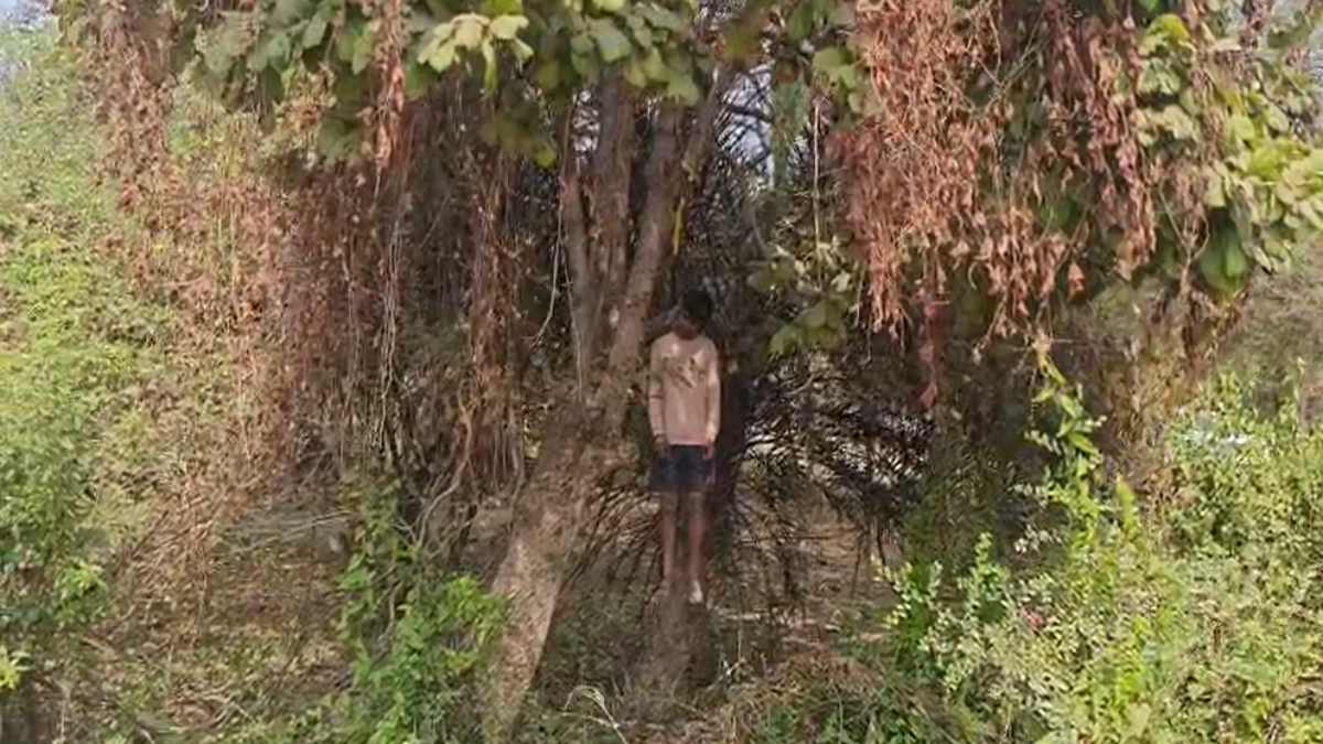 CG News : फांसी के फंदे पर लटका मिला युवक का शव, शिनाख्ती में जुटी पुलिस