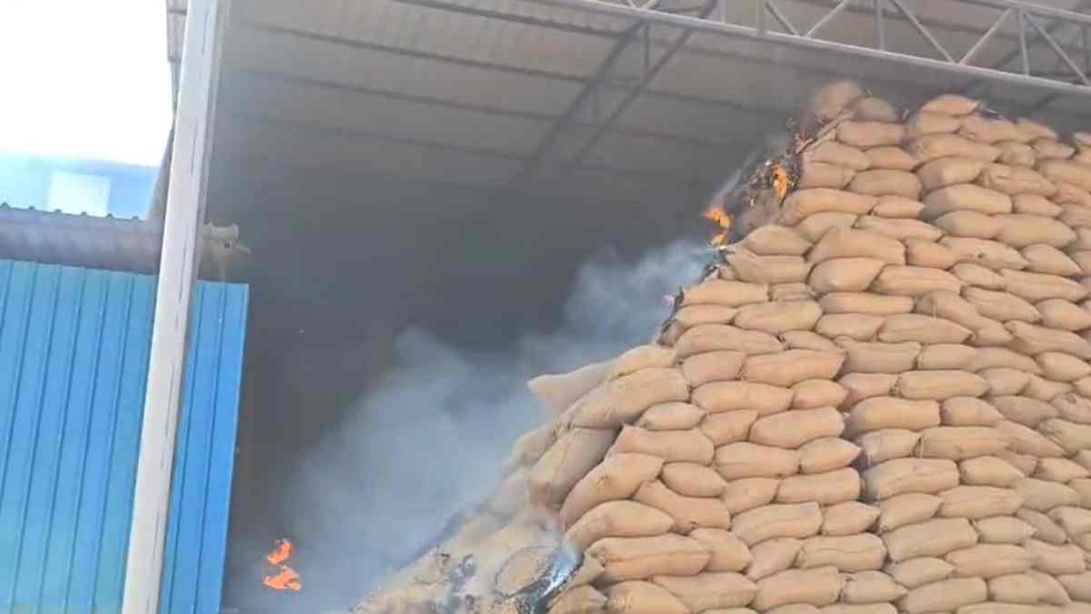 राइस मिल में लगी भीषण आग, लाखों के धान और खाली बारदाने जलकर खाक