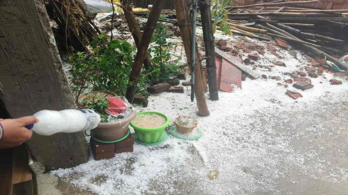 बंगाल की खाड़ी में लो प्रेशर का असर : रायपुर समेत कई जिलों में हुई बारिश, बलरामपुर में गिरे ओले, दिखें VIDEO