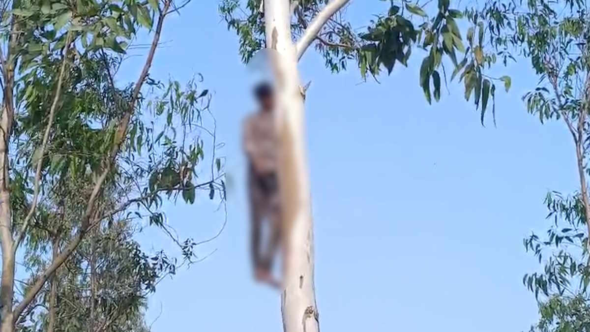 शादी में हो रही देरी से हताश प्रेमी जोड़े ने उठाया आत्मघाती कदम, लड़की ने घर में, तो लड़के ने बाहर पेड़ में लगाई फांसी