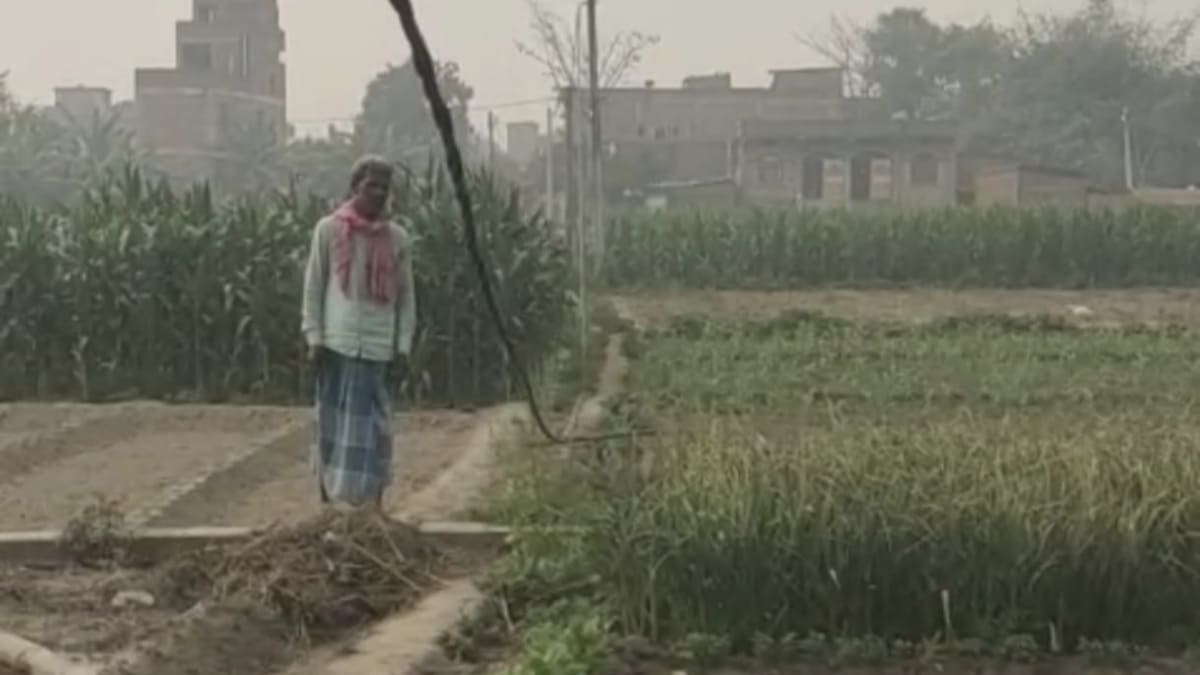 मुजफ्फरपुर में बिजली विभाग की अनदेखी से मौत का जाल बना LT केबल, 6 महीने में आधा दर्जन पशुओं की मौत
