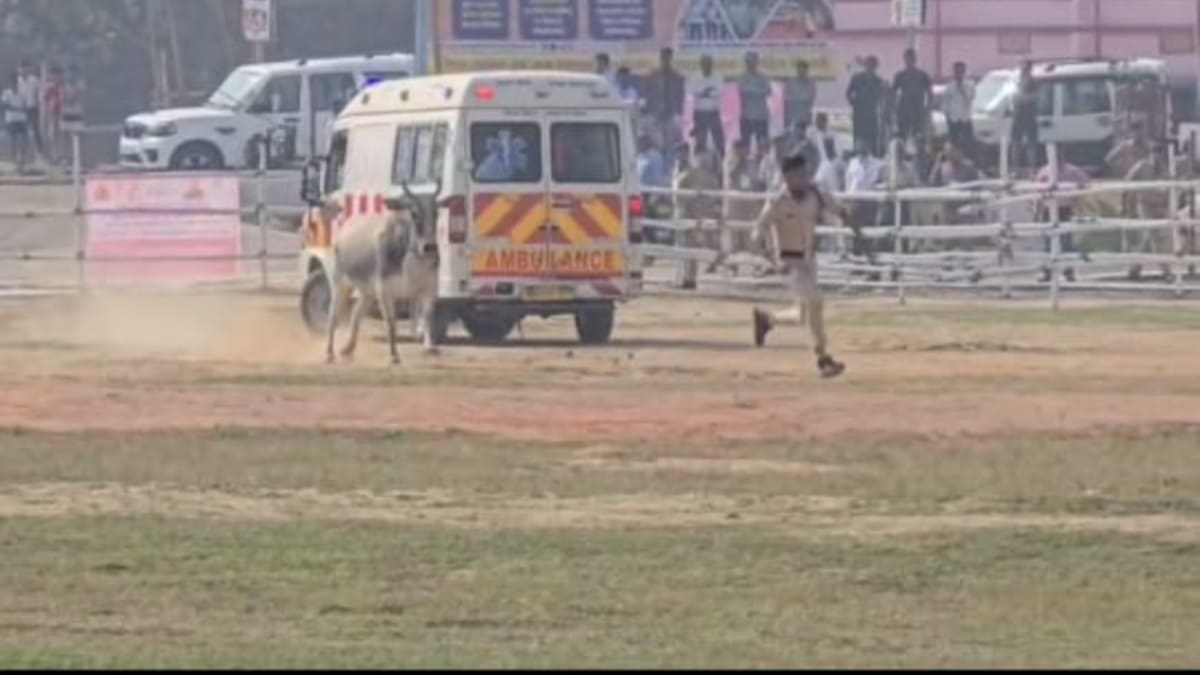 बेगूसराय में सीएम के दौरे से पहले हेलीपैड पर घुसा सांड, पुलिस में मची अफरा-तफरी