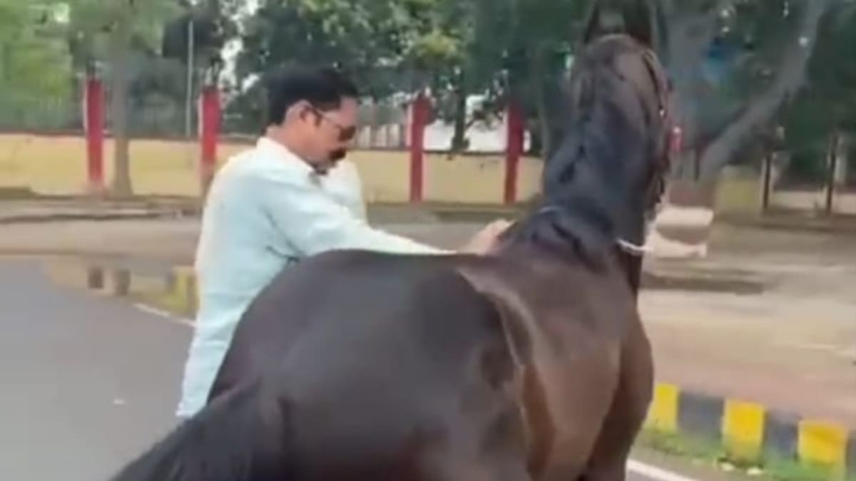 पटना में दिखा छोटे सरकार का वही पुराना अंदाज, जेल से बाहर आते ही प्रिय घोड़े चेतक संग वायरल हुए अनंत सिंह