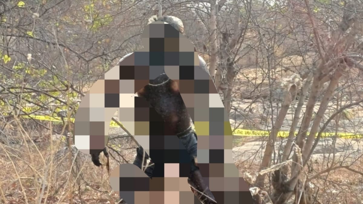 रोहतास के मांझर कुंड पहाड़ी पर एक युवक का पेड़ से लटका मिला शव, हत्या के बाद पेट्रोल छिड़ककर जलाने की आशंका, जांच जारी