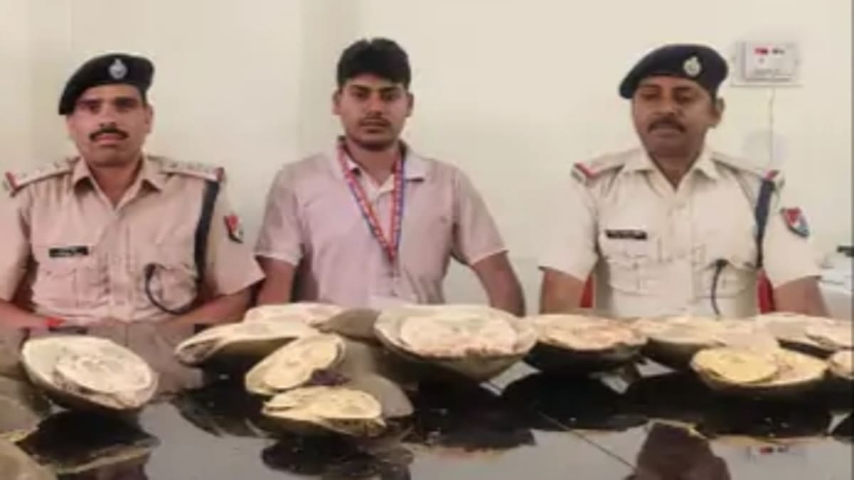 ट्रेन में लावारिस बैग खोलते ही उड़े पुलिस के होश, जूट के बोरों में मिले 28 जीवित कछुए, वन विभाग को सौंपा