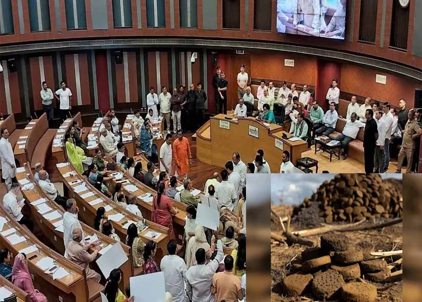 MCD की बैठक में लिए कई अहम फैसले; 3 श्मशानों में सिर्फ गोबर के उपलों से होगी अंत्येष्टि, 105 कर्मचारियों को किया नियमित