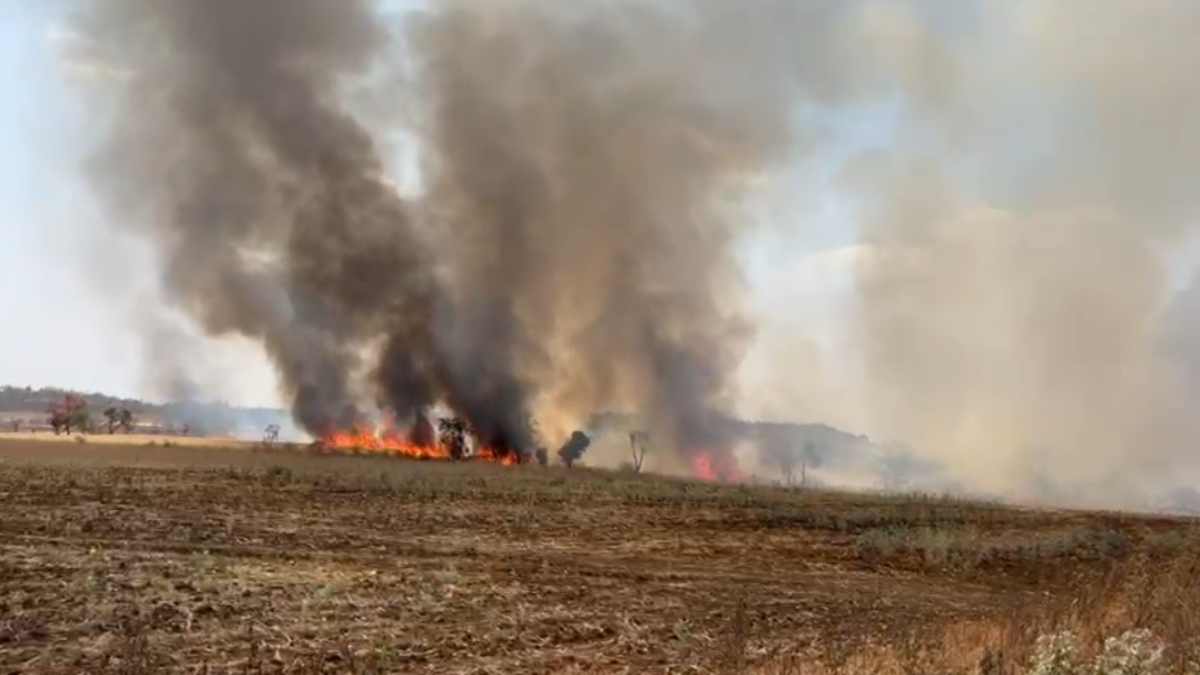 आगजनी में 10 एकड़ गेहूं की फसल जलकर खाक, किसानों को लाखों का नुक़सान, मुआवजे की मांग 