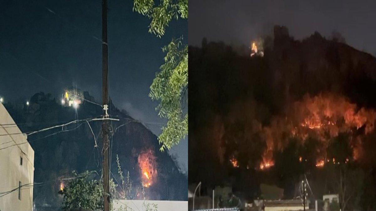 डोंगरगढ़: बुढ़ादेव पहाड़ी में भीषण आग, शहर में दहशत का माहौल …  हवा के कारण तेजी से फैल रही आग