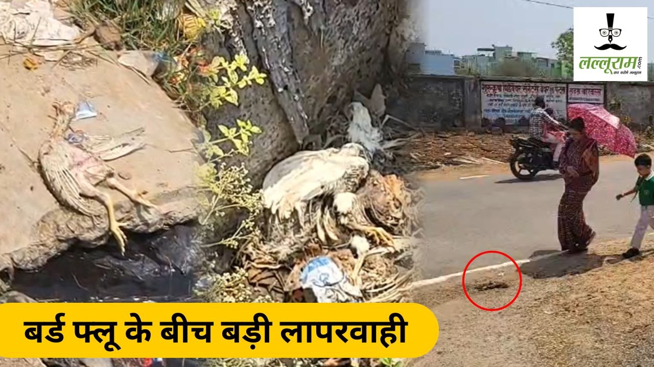 CG Bird Flu : बर्ड फ्लू के बीच बड़ी लापरवाही, खुले में फेंके गए मरे मुर्गे, संक्रमण फैलने का बढ़ा खतरा