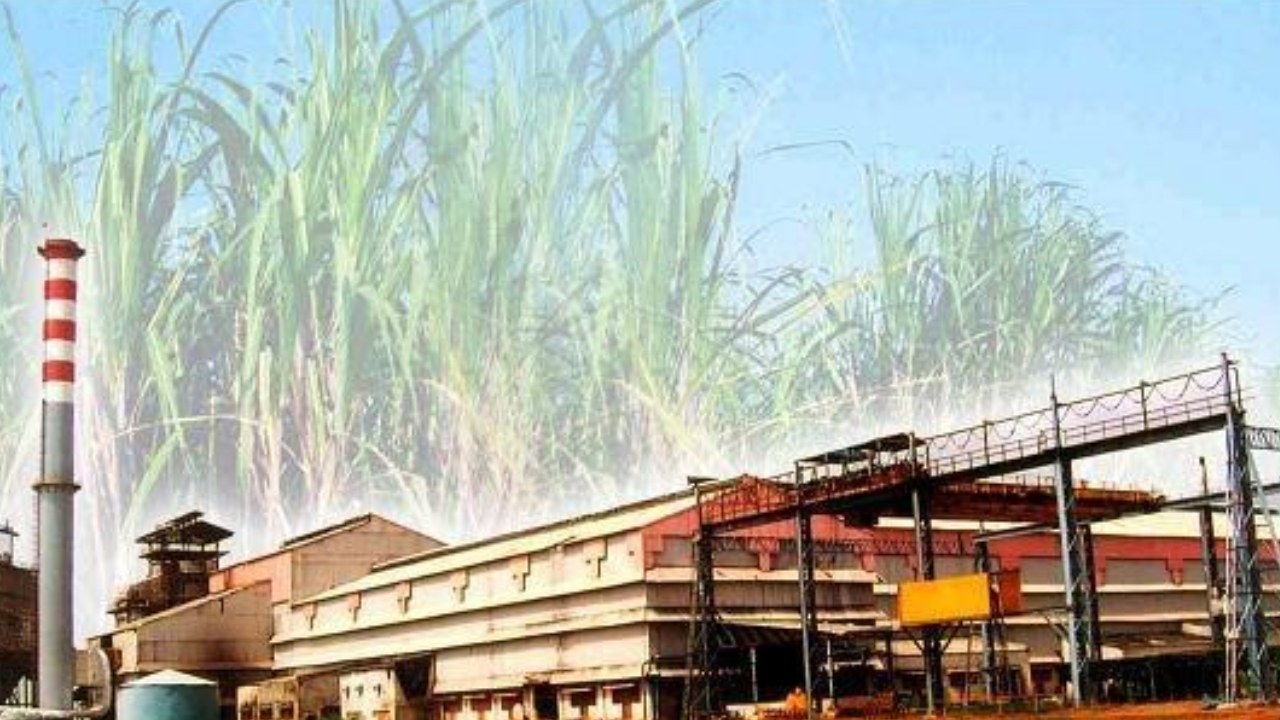 नवरात्रि पर गन्ना किसानों को बड़ी सौगात : 5.97 करोड़ जारी, अब तक 57.48 करोड़ भुगतान