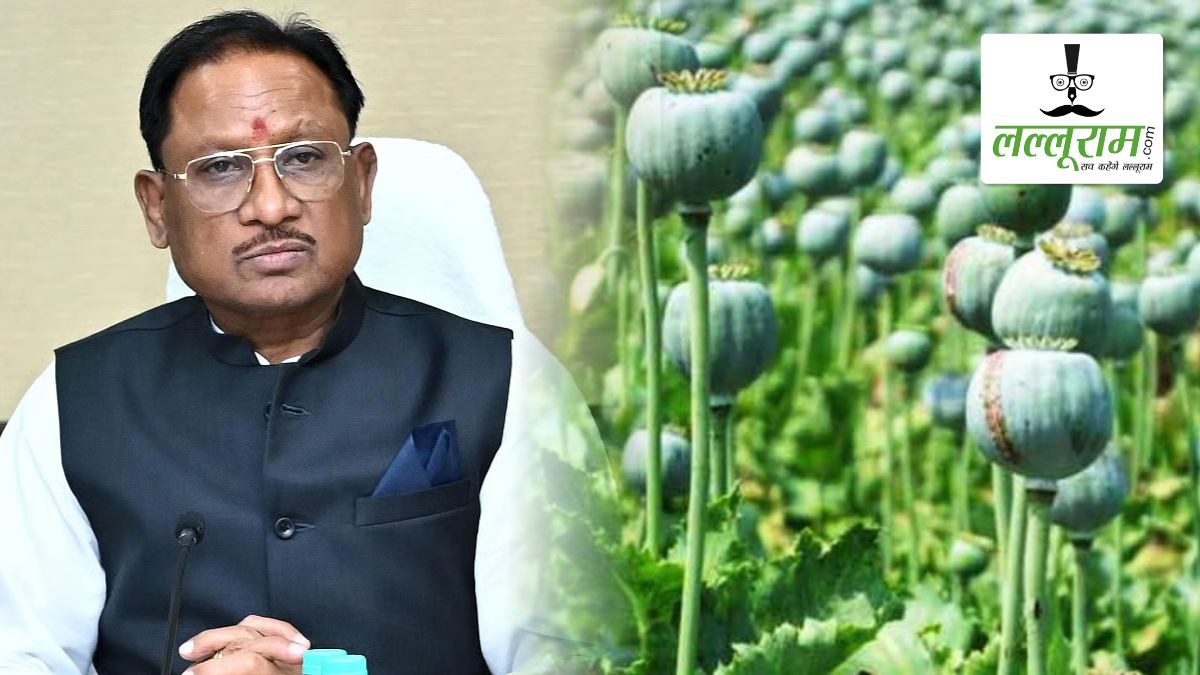 अफीम की अवैध खेती पर CM विष्णु देव साय का कड़ा रुख, सभी कलेक्टरों से 15 दिन में प्रमाण पत्र सहित मांगी सर्वे रिपोर्ट