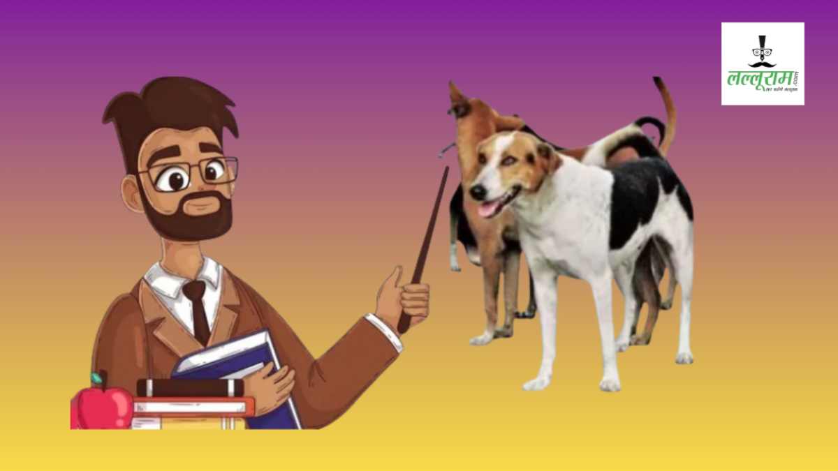 एमपी के कॉलेजों में कुत्ते-पशु भगाने का जिम्मा प्राचार्यों पर! उच्च शिक्षा विभाग ने जारी किया निर्देश, नोडल अधिकारी बनकर सुनिश्चित करेंगे परिसर की सुरक्षा