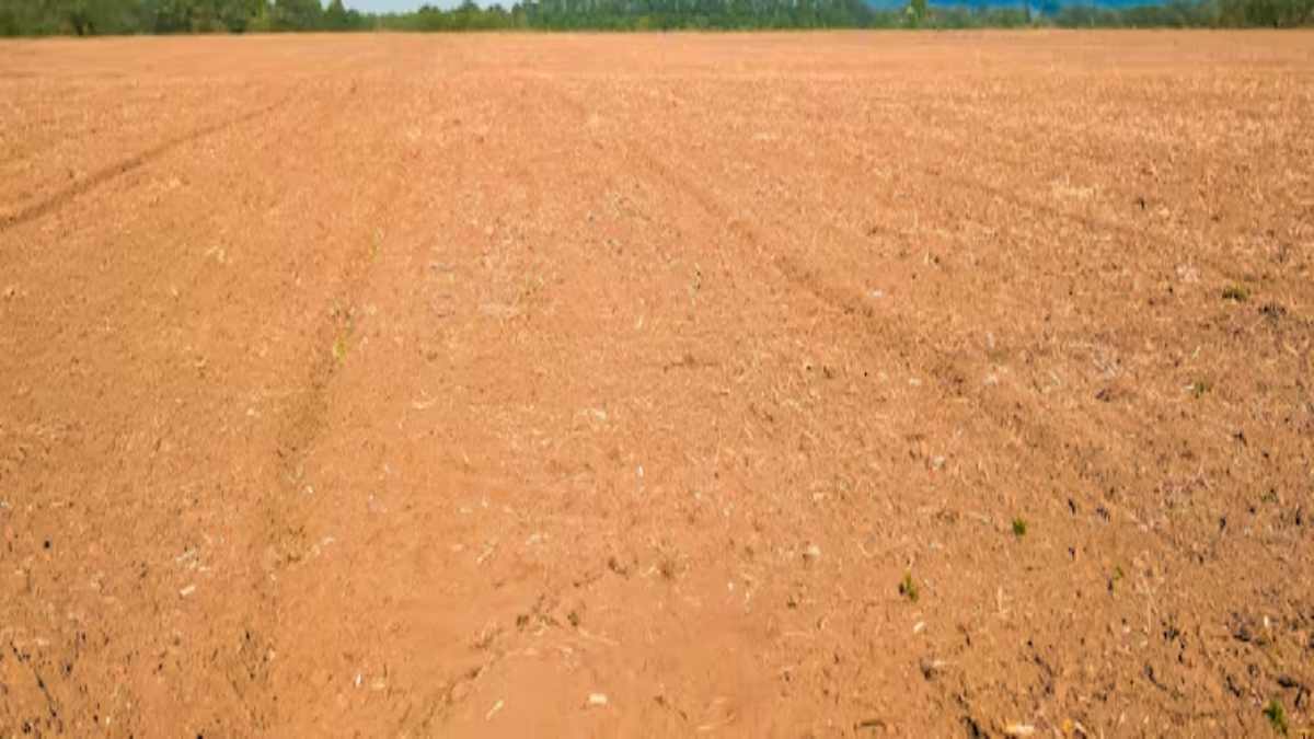 GDA की जमीन पर अवैध कब्जा: सहकारी समितियों ने की करोड़ों की प्लॉटिंग, पुलिस ने दो FIR दर्ज कर जांच की तेज 