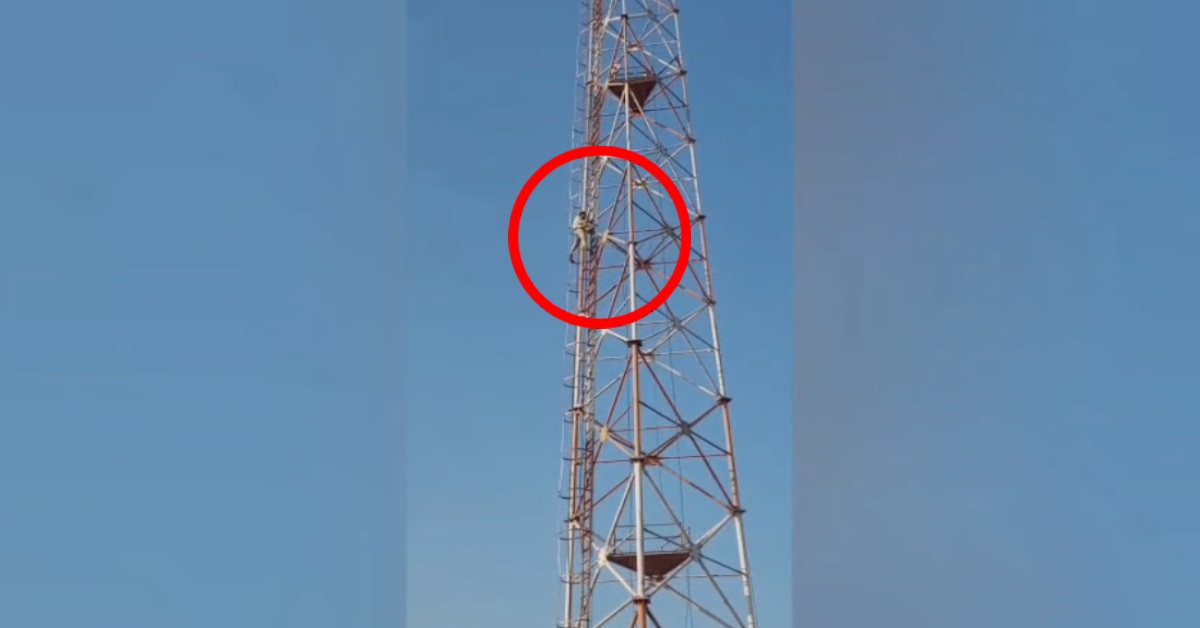 पत्नी को मौके पर बुलाओ नहीं तो… तड़के सुबह कोतवाली परिसर में लगे टावर पर चढ़ा युवक, पेड़-बिजली खंभों पर चढ़कर पहले भी कर चुका है हंगामा