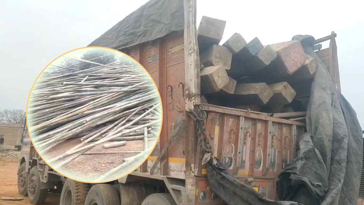 मऊगंज में ‘पुष्पा’ फिल्म की तरह लकड़ी का खेला: 19 लाख की सागौन तस्करी में फॉरेस्ट ऑफिसर की भूमिका संदिग्ध, खाकी और तस्करों के ‘कॉकटेल’ ने उड़ाए होश!