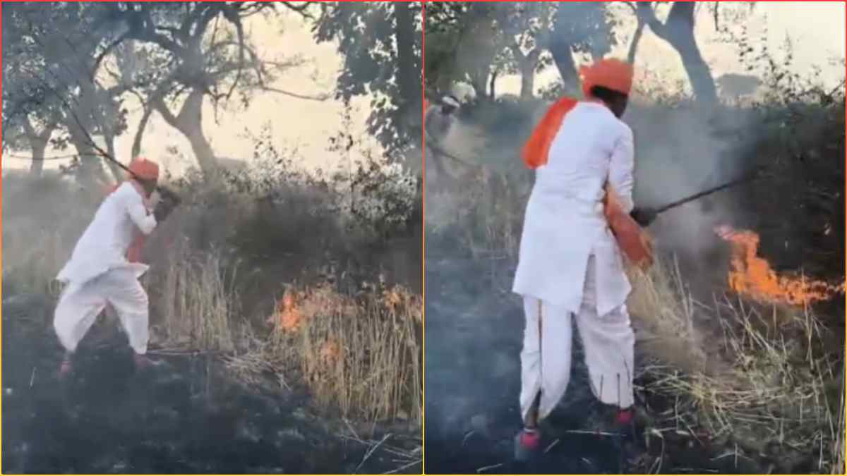 महिला की पुकार सुन दौड़ पड़े मंत्री: लकड़ी से बुझाई खेत में लगी आग, Video Viral
