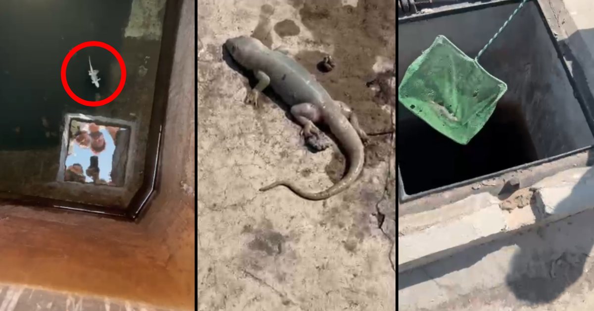 ग्वालियर में इंदौर जैसी घटना का इंतजार ? पीएम आवास योजना के तहत बनी मल्टी स्टोरी के पानी टंकी में ‘मरी हुई छिपकली’, लोग इस्तेमाल करने को मजबूर