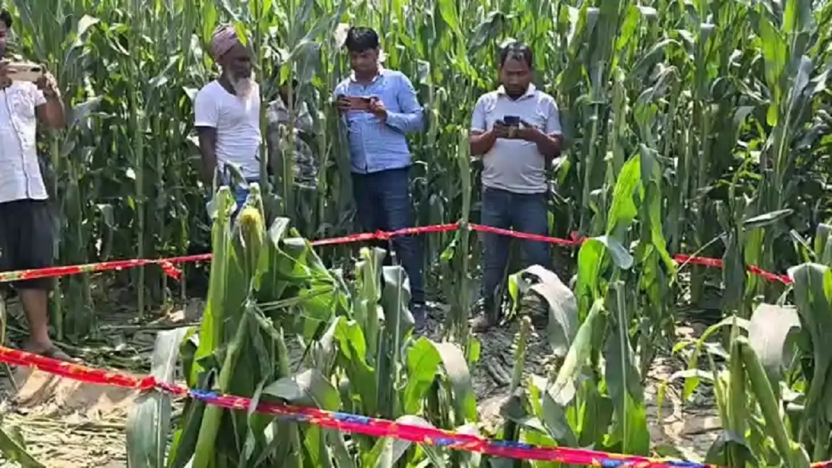 Bihar Crime: नशे की शिकायत करने पर 9 साल की मासूम की गला रेतकर निर्मम हत्या, हिरासत में नाबालिग आरोपी