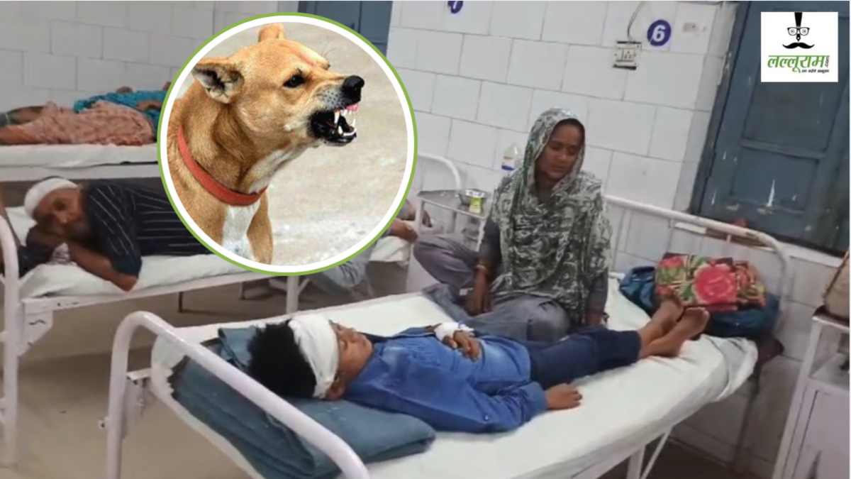 पागल कुत्ते का आतंक: एक ही दिन में 6 मासूमों को बनाया शिकार, दहशत में ग्रामीण 