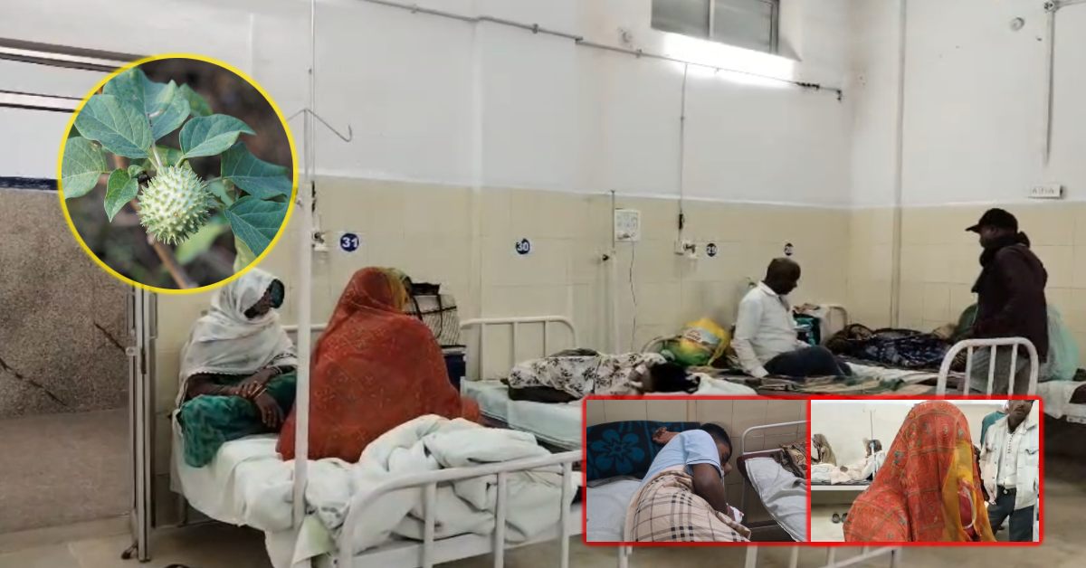 पन्ना में ‘देसी नुस्खा’ पड़ा भारी: धतूरे का काढ़ा बनाकर मां ने पीया-बच्चों को भी पिलाया, अस्पताल पहुंचा पूरा परिवार